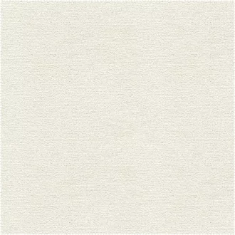 AquaClean Alba 56
