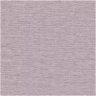 AquaClean Alice 351