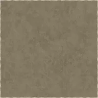 AquaClean Bison106