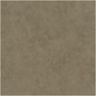 AquaClean Bison106