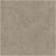 AquaClean Bison108