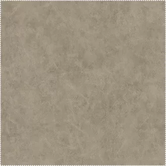 AquaClean Bison108