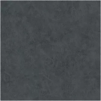 AquaClean Bison110
