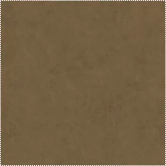 AquaClean Bison111