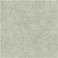 AquaClean Bison139