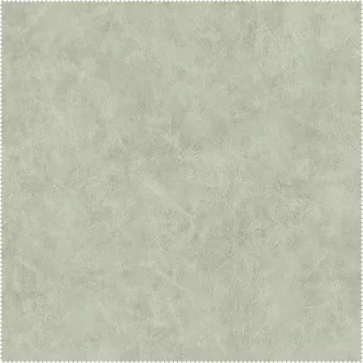 AquaClean Bison139