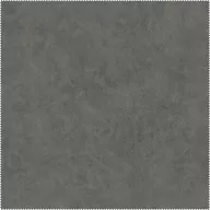 AquaClean Bison152