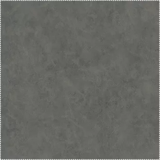 AquaClean Bison152