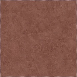 AquaClean Bison153