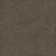 AquaClean Bison163