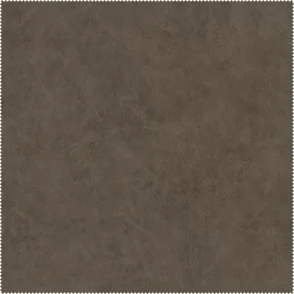 AquaClean Bison163