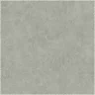 AquaClean Bison165