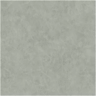 AquaClean Bison165