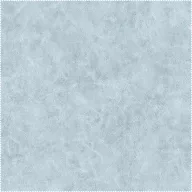 AquaClean Bison1184