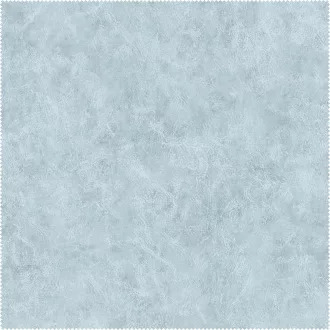 AquaClean Bison1184
