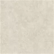 AquaClean Bison186