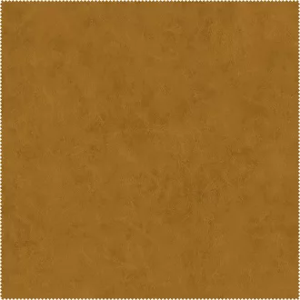 AquaClean Bison420
