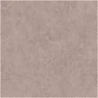 AquaClean Bison421