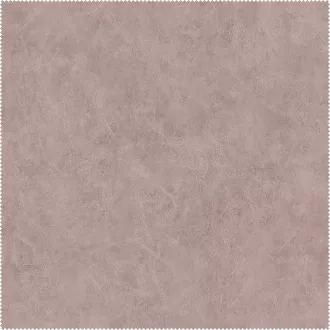 AquaClean Bison421