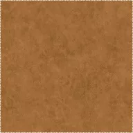 AquaClean Bison424