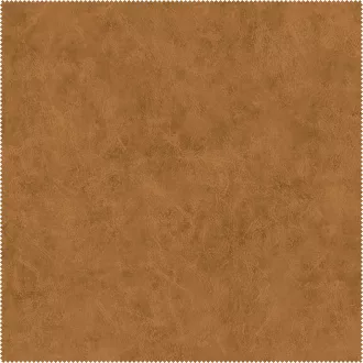 AquaClean Bison424