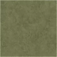 AquaClean Bison49