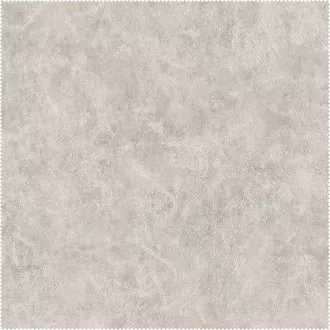 AquaClean Bison60