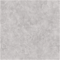 AquaClean Bison76