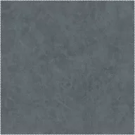 AquaClean Bison77