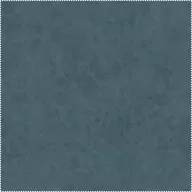 AquaClean Bison78