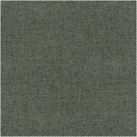 AquaClean Camila 407