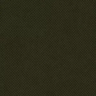 Curio_39