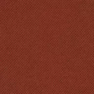 Curio_55