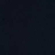Curio_79