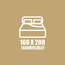 160 X 200