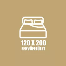 120 X 200