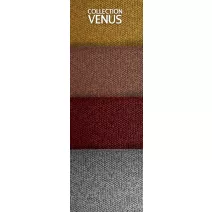 Venus